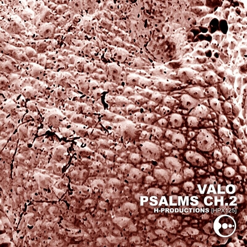 Valo - Psalms Ch.2 [HPX125]